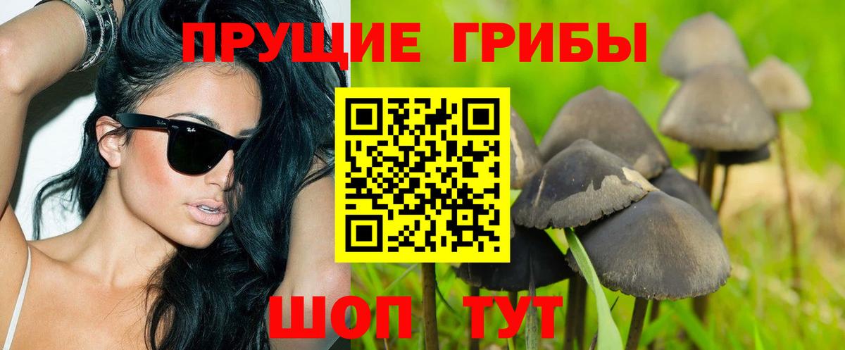 Галлюциногенные грибы MAGIC MUSHROOMS  Вход с VPN  купить наркотики сайты  Улан-Удэ 